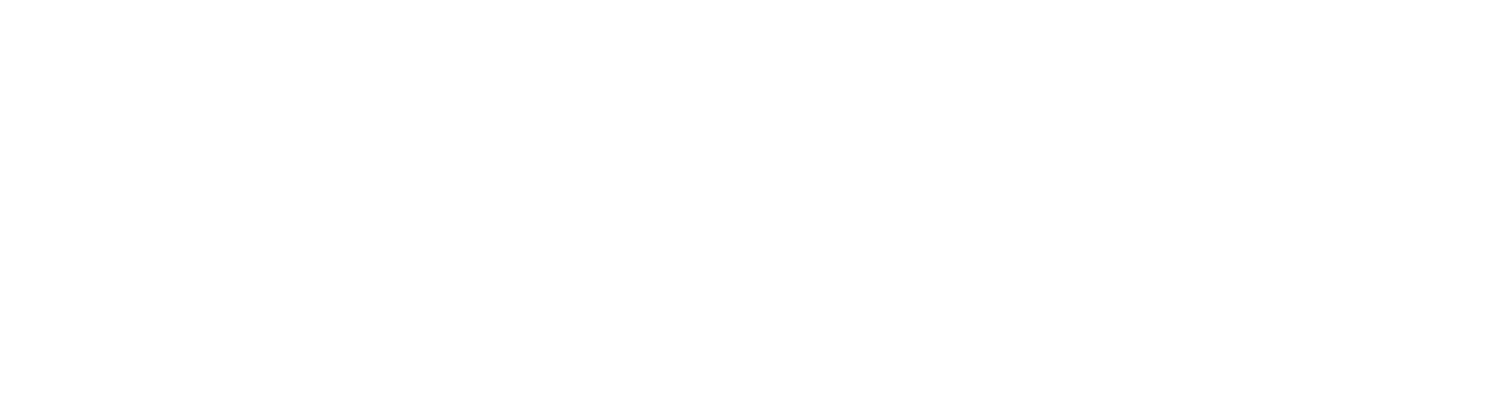 h1 title